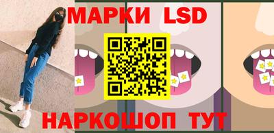 гидропоника Пенза